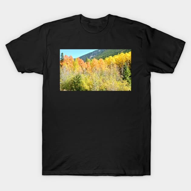 Colorado Fall Colors in the Aspen Trees T-Shirt by Scubagirlamy